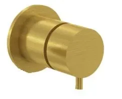 Waterevolution Flow vgrajena 2-smerna preklopka brušena medenina z okroglim rozeto T1482RLE