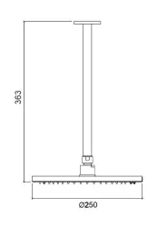 Waterevolution Flow glavna tuš kabina 250 mm s stropnim priključkom iz brušenega medenine T164225LE