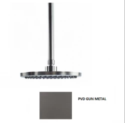 Waterevolution Flow glavna tuš kabina 250 mm s stropnim priključkom PVD Gun Metal T164225GME